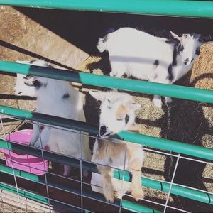 Meet your Posher, Beth